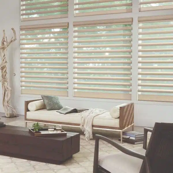 Sheer shades omaha