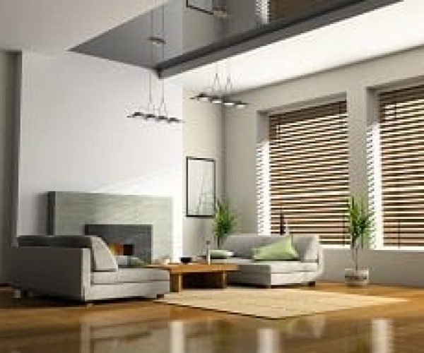 Blinds_-Ambiance-Window-Coverings